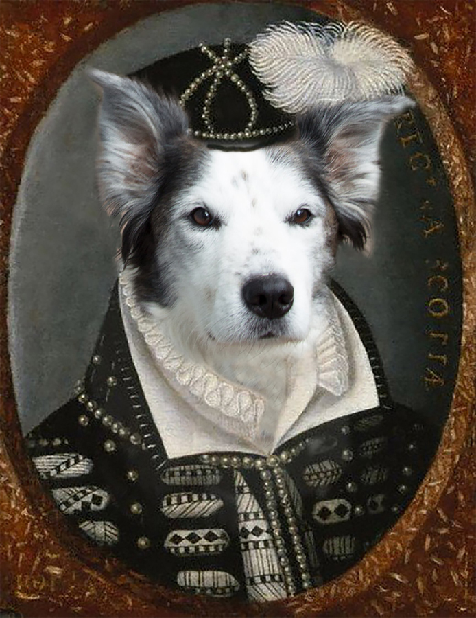 Dog head on fancy old fashioned portrait with collar
