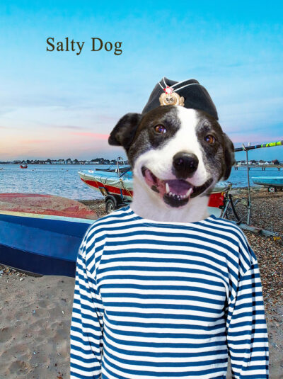 A black and white dog face on a sailor's body on a beach in front of a boat