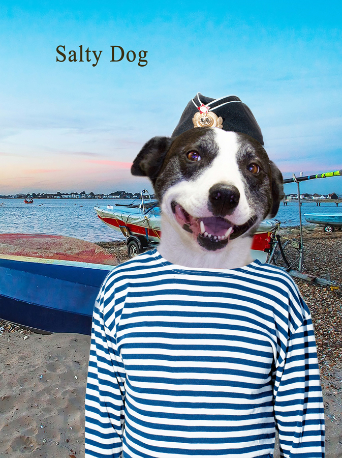 A black and white dog face on a sailor's body on a beach in front of a boat
