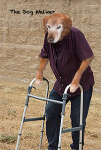 A dog head on a body of an old man using a walker
