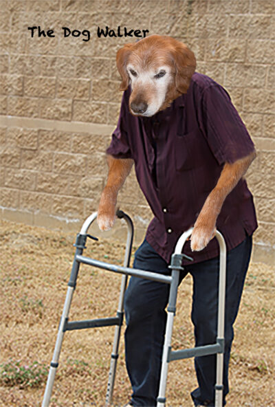 A dog head on a body of an old man using a walker