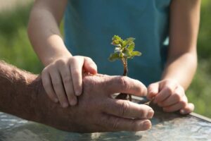 Man and child holding a tree starter