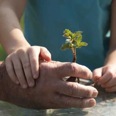 Man and child holding a tree starter