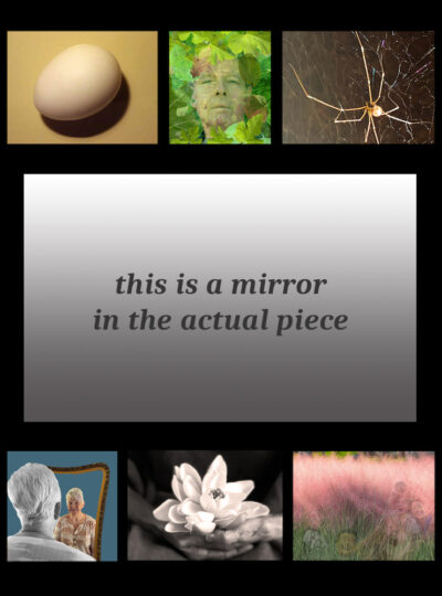 Photo collage of an egg, man in leaves, spider, woman looking into mirror, lotus flower and field. With a mirror in the middle.